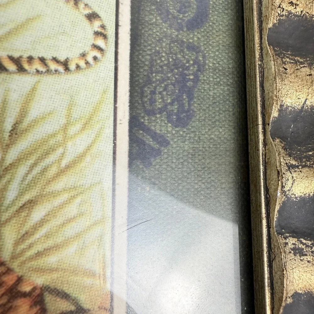 Vintage Tiger Stamp Collage Framed Art Safari Global World Travel Wall‎ Decor